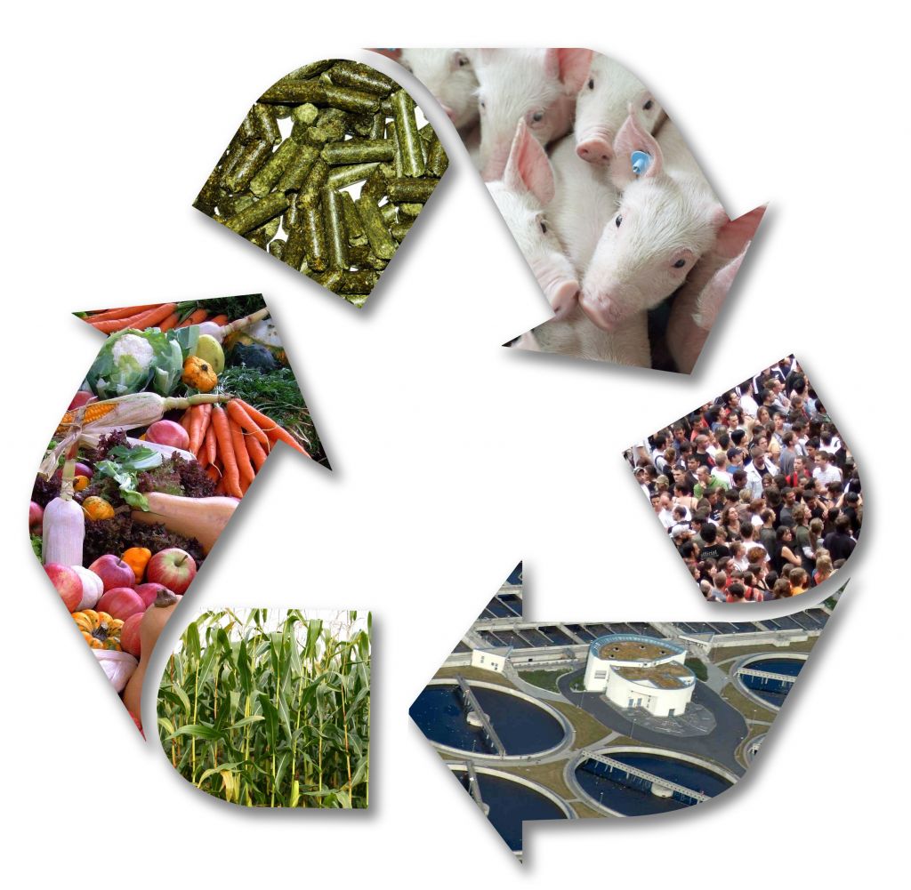 VDLUFA Kongress 2016